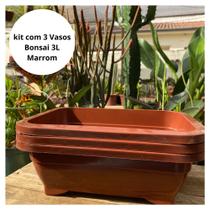 3 Vasos Plásticos Bonsai 3l Marrom Para Ambientes Externos
