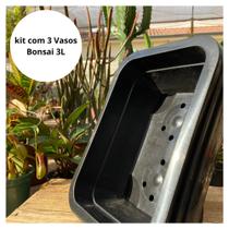 3 Vasos Plásticos Bonsai 3l Preto Cacto Plantas Top De Linha 3 Vasos Plásticos Bonsai 3l Preto Cacto Plantas Top De Linha