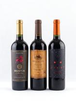 3 Vinhos Tintos Secos Chilenos Carmenere 750ml 3 Vinhos Tintos Secos Chilenos Carmenere 750ml