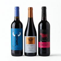 3 Vinhos Tintos Secos Espanhóis 750ml