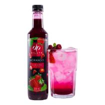 3 Xarope Dilute Soda Italiana Original Varios Sabores