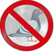 30 Espículas Anti Pombo Espanta Aves - 10 Metros