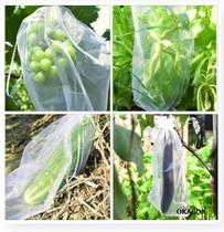 30 Saco Embalagem proteção fruta no pé 20x30 cm lavavel 30 Saco Embalagem proteção fruta no pé 20x30 cm lavavel