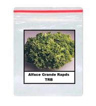 30 Sementes De alface Grande Rapds TRB 30 Sementes De alface Grande Rapds TRB