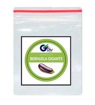 30 Sementes De Berinjela Comprida Roxa