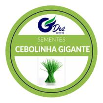 30 Sementes De Cebolinha Gigante