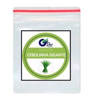 30 Sementes De Cebolinha Gigante
