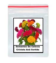 30 Sementes De Celósia Cristata Anã Sortida