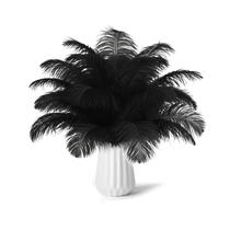30 unidades de plumas naturales de avestruz negras NEWONG 28-35 cm para manualidades 30 unidades de plumas naturales de avestruz negras NEWONG 28-35 cm para manualidades