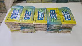 300 Prendedores de Madeira Super Grande Quatro Estações