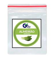 300 Sementes De Almeirão Spadona folha Fina
