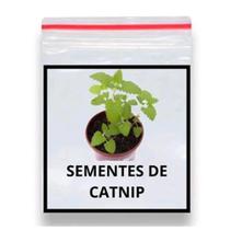 300 Sementes De Erva Dos Gatos Catnip
