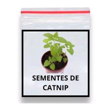 300 Sementes De Erva Dos Gatos Catnip