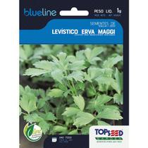 300 Sementes de levistico erva maggi BLUE LINE caldo maggi temperos salada - topseed
