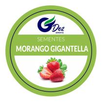 300 Sementes De Morango Gigante Gigantella