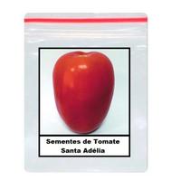 300 Sementes de Tomate Santa Adélia 300 Sementes de Tomate Santa Adélia