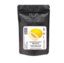 3000 Sementes De Melão Gladial Amarelo Hibrido F1