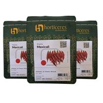 3000 Sementes de Pimenta MExicali Dedo de Moça Fácil Plantio Alta Produção