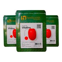 3000 Sementes Tomate Vitalino Híbrido Produtivo para Plantio Profissional 3000 Sementes Tomate Vitalino Híbrido Produtivo para Plantio Profissional