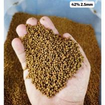 300gr Ração P42% tartaruga, turtle, répteis - supra 300gr Ração P42% tartaruga, turtle, répteis - supra