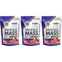 3x Anabolic Mass 28500 3kg Suplemento Profit Labs Morango 3x Anabolic Mass 28500 3kg Suplemento Profit Labs Morango
