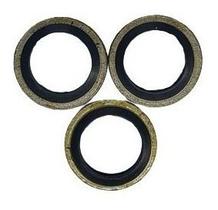 3x Arruela De Vedação Fill Niple Engate Foster Pcp 300 Bar