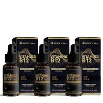 3x B12 Metil Forma Ativa Gotas Sublingual 414%VD 30ml Ecomev Sabor Morango