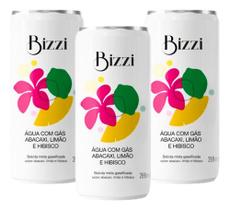 3x Bebida Drink Bizzi Sabor Abacaxi + Limão + Hibisco - 269m