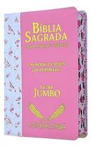 3X Bíblia Sagrada Letra Jumbo Com Harpa Corinhos Almeida Índ 3X Bíblia Sagrada Letra Jumbo Com Harpa Corinhos Almeida Índ
