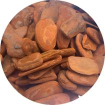 3X Casca De Arvore Polida Casca De Pinus Decorativa Vasos 3X Casca De Arvore Polida Casca De Pinus Decorativa Vasos