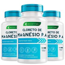 3x Cloreto de Magnesio P.A 500mg Puro Fora Importada Maxima Absorção 360Cáps 6Meses Ecomev