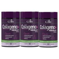 3x Colágeno Hidrolisado + Ácido Hialurônico + Coenzima Q10 + Biotina e Vitams 60 Caps Celliv