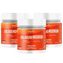 3x Colágeno Hidrolisado Verisol Bigens Frutas Vermelhas 150g