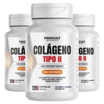3x Colageno Tipo 2 Não Desnaturado 500mg 120 Cápsulas Suplemento Alimentar em Cápsulas Livre de Glúten