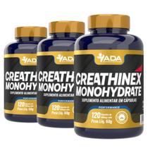3x Creathinex Monohydrate Creatina Monohidratada 360 Cápsulas Academia Suplemento 100% Pura Energia