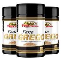 3x Feno - Grego 300mg 360cps Original - N&S