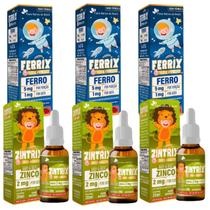 3x Ferrix Ferro + 3x Zintrix Zinco - Kids - Flora Nativa