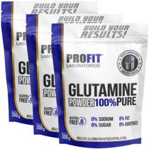 3x Glutamina Powder 100% Pura Refil 300g Profit