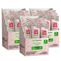 3x Jungle Eletrolytes Stick Plant Power Melancia e Limão 14 unidades 5g