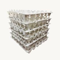 3X Kit Com 6 Bandejas Plásticas Para Ovos Organiza Geladeira 3X Kit Com 6 Bandejas Plásticas Para Ovos Organiza Geladeira