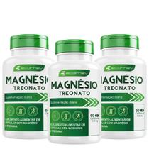 3x Magnesio Treonato 500Mg Máxima Concentração 180Cáps - (3 Meses de Uso) Ecomev