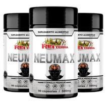 3x Neumax memória 500mg 270cps fórmula avançada - N&S