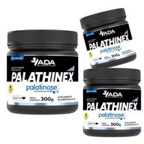 3x Palathinex 900g Sem Sabor Palatinose Pura Pó Treino Natural Baixo Índice Glicemico Nutrition Pure