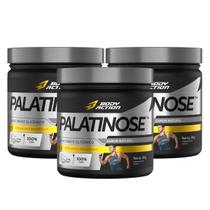 3x Palatinose 100% Pura Body Action 300g -