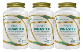 3x Pinus Pinaster Vitamina E Selênio Zinco 60 Capsulas FNB