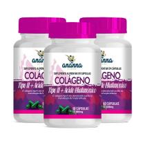 3x Suplemento Colágeno Tipo 2 c/ Ácido Hialurônico 60 Caps 500mg 3x Suplemento Colágeno Tipo 2 c/ Ácido Hialurônico 60 Caps 500mg