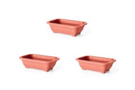 3X Vaso Para Bonsai L16xC22xA6 Cor Cerâmica NUTRIPLAN