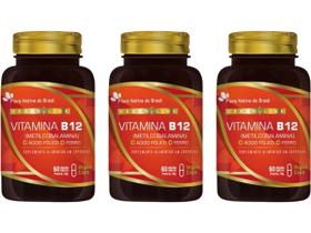 3x Vegan Vitamina B12 Metilcobalamina + Ferro + Ácido Fólico 60Caps - Flora Nativa do Brasil