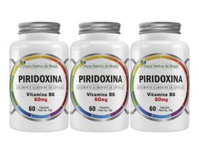 3x Vitamina B6 Piridoxina 60 Caps 60mg