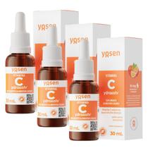 3x Vitamina C Lipossomal Ydrosolv Yosen Laranja 30ml 3x Vitamina C Lipossomal Ydrosolv Yosen Laranja 30ml
